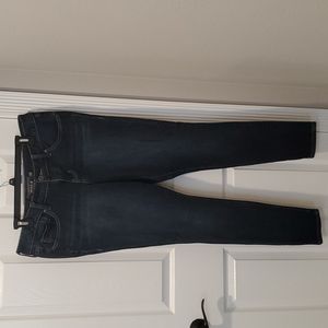Torrid Skinny Jeans